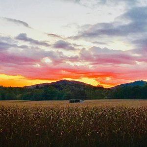 Meet your Posher, Misty